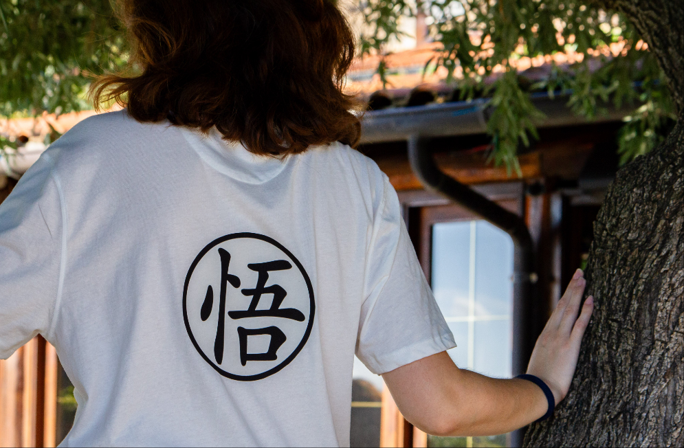 T-Shirt Dragon Ball - Goku e Simbolo del Ki